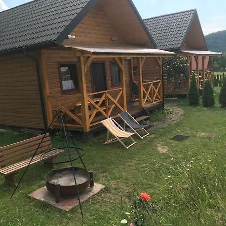 Domki Zlota Rybka Nad Jeziorem Solinskim Zawóz 外观 照片