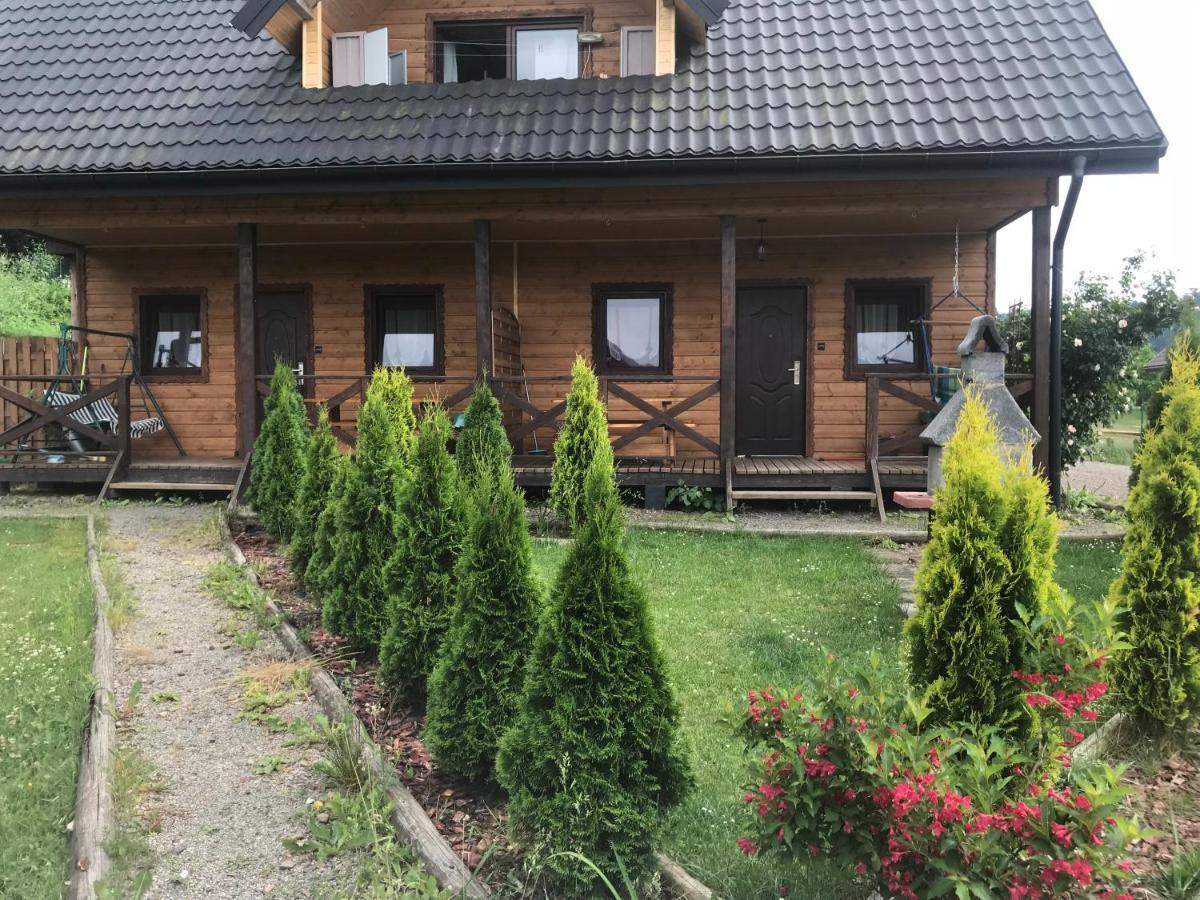 Domki Zlota Rybka Nad Jeziorem Solinskim Zawóz 外观 照片